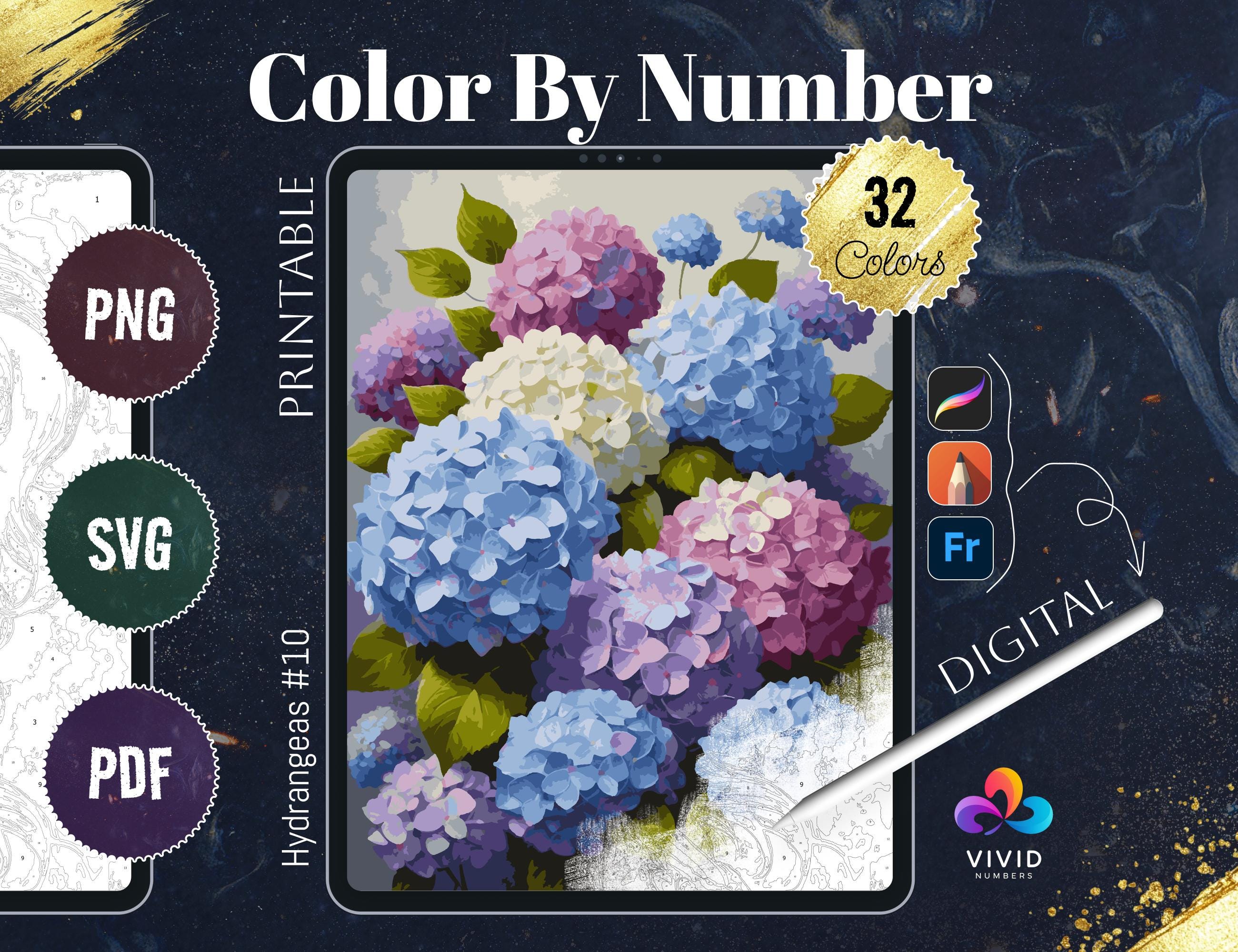 Hydrangeas Color by Numbers for Adults Printable | Digital Paint by Numbers Flowers Coloring Pages for Procreate & iPad