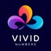 VividNumbers store logo