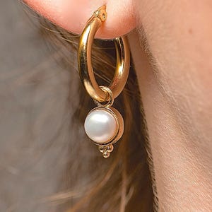Pearl solid 14k gold dangle hoop earrings