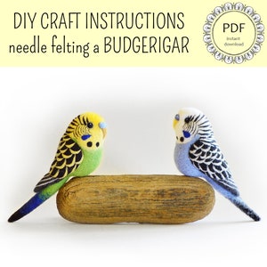 DIY Budgie Felting Instructions Instant Download PDF wool roommate / budgerigar craft instructions, needle felting tutorial image 1