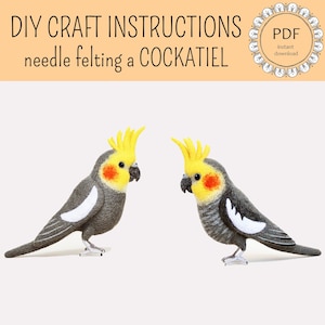 DIY Cockatiel Felting Instructions Instant Download PDF wool roommate / craft instructions, needle felting tutorial image 1