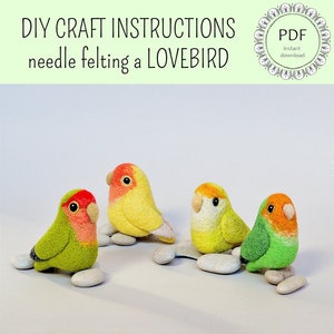 DIY Lovebird Felting Instructions - Instant Download PDF - wool roommate / craft instructions, needle felting tutorial