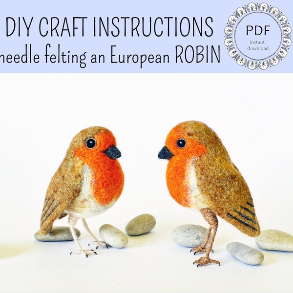 DIY European Robin Felting Instructions - Instant Download PDF - wool roommate / craft instructions, needle felting tutorial