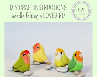 DIY Lovebird Felting Instructions - Instant Download PDF - wool roommate / craft instructions, needle felting tutorial