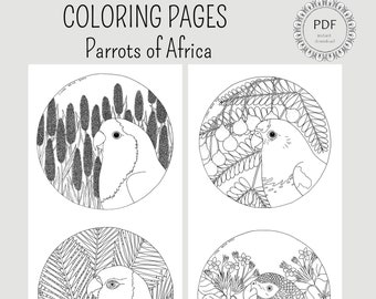 COLORING PAGES - Parrots of Africa, instant download PDF file / set of 4 coloring pages to print and color