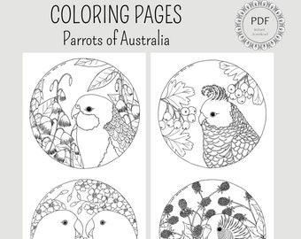 COLORING PAGES - Parrots of Australia, instant download PDF file / set of 4 coloring pages to print and color