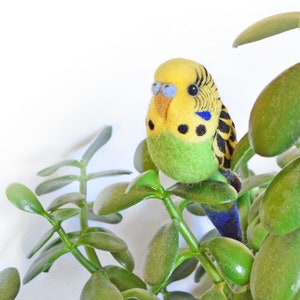 DIY Budgie Felting Instructions Instant Download PDF wool roommate / budgerigar craft instructions, needle felting tutorial image 9