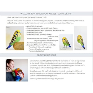 DIY Budgie Felting Instructions Instant Download PDF wool roommate / budgerigar craft instructions, needle felting tutorial image 4