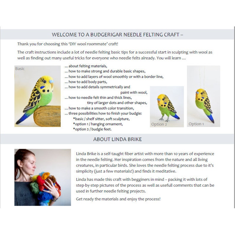 DIY Budgie Felting Instructions Instant Download PDF wool roommate / budgerigar craft instructions, needle felting tutorial image 4