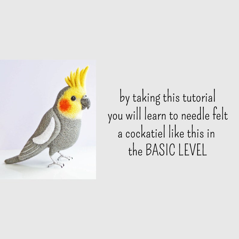 DIY Cockatiel Felting Instructions Instant Download PDF wool roommate / craft instructions, needle felting tutorial image 4