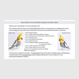 DIY Cockatiel Felting Instructions Instant Download PDF wool roommate / craft instructions, needle felting tutorial image 2