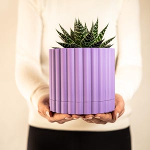 Könnte beinhalten: Eine Person hält einen lilafarbenen Topf mit einer grünen Sukkulente darin. Der Topf hat ein geripptes Design.