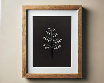May include: A framed print featuring a minimalist botanical illustration. The artwork showcases a delicate, white plant against a black background, encased in a wooden frame with a white mat. The text "SERENIENCE PRINTS" is at the bottom.