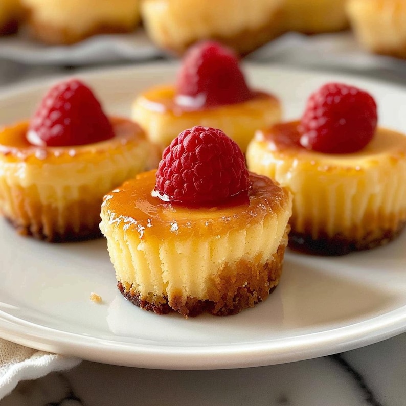 Mini Raspberry Cheesecakes BEST RECIPE for Mini Raspberry Cheesecake Bites Recipe Download. - Etsy