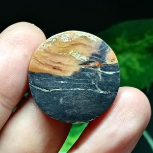 Opalized petrified wood, beautiful natural scenery cabochon
