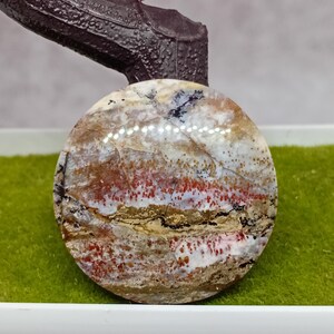 Puede incluir: Una gema redonda y pulida con un patrón único. La piedra presenta una mezcla de tonos blancos, beige, rojos y marrones, con vetas oscuras. La gema se encuentra sobre un fondo verde.