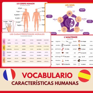 Flashcard French Vocabulary Notes Human Body and Characteristics