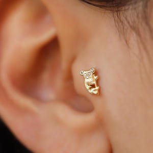 14K Gold Koala Cartilage Piercing – Tiny Solid Gold Koala Stud, Cute Animal Piercing, Gold Helix Earring, Unique Gift for Her