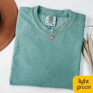 Comfort Colors® T-shirt, Oversized Shirts for Women Or Men, Trendy Blank Vintage T-Shirts, Blank Comfort Colors T-Shirts, Garment Dyed Tee