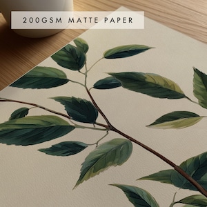 May include: A botanical print on 200gsm matte paper featuring a detailed illustration of a branch with dark and light green leaves. The artwork displays a realistic depiction of foliage with visible veins and varied shades of green on a cream background.