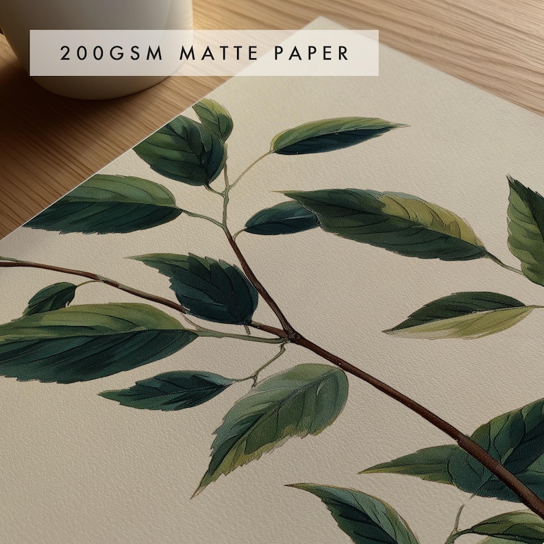 May include: A botanical print on 200gsm matte paper featuring a detailed illustration of a branch with dark and light green leaves. The artwork displays a realistic depiction of foliage with visible veins and varied shades of green on a cream background.