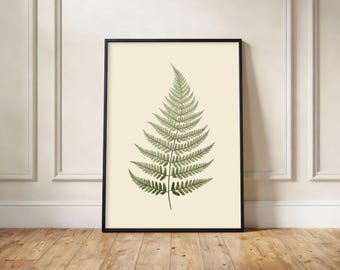 Fern Leaf Wall Art Print, Botanical Illustration, Sage Green Forest Decor