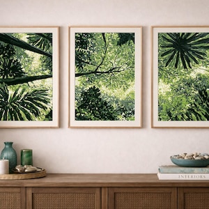 Puede incluir: Un conjunto de tres cuadros rectangulares con marcos de madera clara, cada uno con una vista desde abajo de frondosas hojas de palmera tropical verde y follaje denso con luz brillante filtrándose a través de las hojas oscuras.