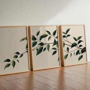 May include: A set of three rectangular wall art prints in light wood frames. Each print features a botanical illustration of a single tree branch with dark green leaves against a solid off-white background, creating a continuous visual flow.