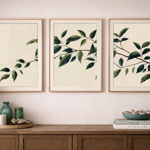 May include: A set of three vertical wall art prints in light wood frames, each featuring a botanical illustration of dark green leaves on a cream background, displayed in a row above a wooden console table with various decorative objects.