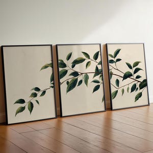 May include: A set of three rectangular wall art prints in thin black frames. Each print features a botanical illustration of a brown tree branch with dark green leaves set against a plain, light cream-colored background.