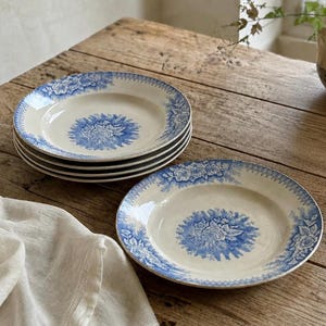 Antique French Blue Floral Ironstone Plates Set of 5, St Amand Jardiniere Terre de Fer, Early 1900s Tableware