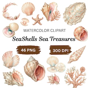 Seashell Clipart PNG | Coastal Beach Clipart, Seashells Watercolor, Ocean Clipart, Summer Aesthetic, Wedding Clipart, stickers 300 DPI