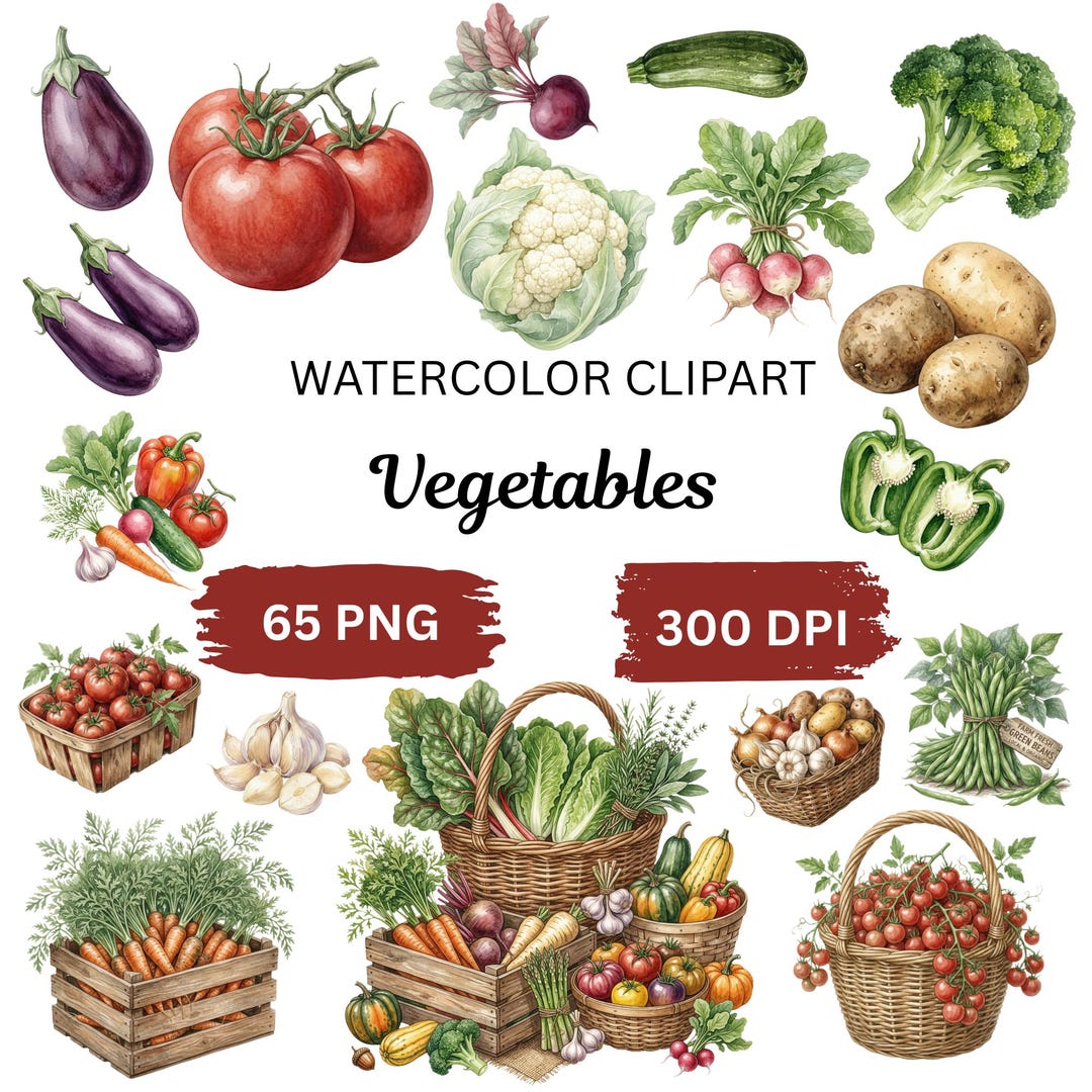 Vegetable Watercolor Clipart Bundle | Fresh Produce PNG, Kitchen ...