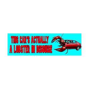 This Car is Actually A Lobster in Disguise Bumper Sticker | Funny Sticker | Meme Sticker | 8.5&quot; x 2.5&quot; Premium Weather-proof Vinyl