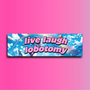 Live Laugh Lobotomy Rainbow Dolfin Bumper Sticker OR Magnet | Unhinged Gen Z Car | Cute Magnet | 8.5" x 2.5" Premium Weather-proof Vinyl
