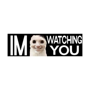 I&#39;m Watching You Cat Bumper Sticker | Meme Sticker | Laptop Sticker | 8.5&quot; x 2.5&quot; Premium Weather-proof Vinyl
