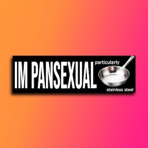 Im Pansexual Particularly Stainless-Steel Bumper sticker | Meme Sticker | Laptop sticker | 8.5&quot; x 2.5&quot; Premium Weather-proof Vinyl
