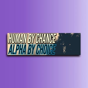 Human by Chance Alfa by Choice Bumper Sticker OR Magnet | Meme Sticker | Unhinged Gen Z Sticker | 8.5&quot; x 2.5&quot; Premium Weather-proof Vinyl