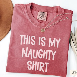 Naughty Shirt, Funny Xmas shirt, Christmas T Shirt, Naughty Shirts Women, Naughty List Shirt, Funny Christmas Gifts Adult Humor Gag Gift