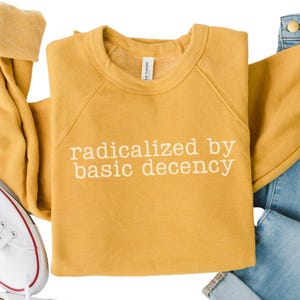 Radicalized Shirt, Anti-Trump Sweatshirt, Political Social Justice Shirt, Save Democracy Crewneck, Basic Decency Shirt, Liberal Gift