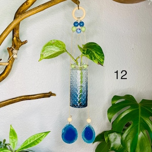 Hanging Plant Propagation Sun Catcher (Shades of Blues)
