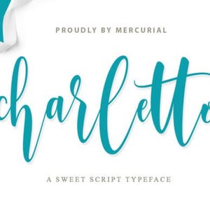 Police de calligraphie avec queues mariage police svg police cursive lettres de calligraphie polices d'écriture cursive mariage SVG lettres police Cricut Silhouette