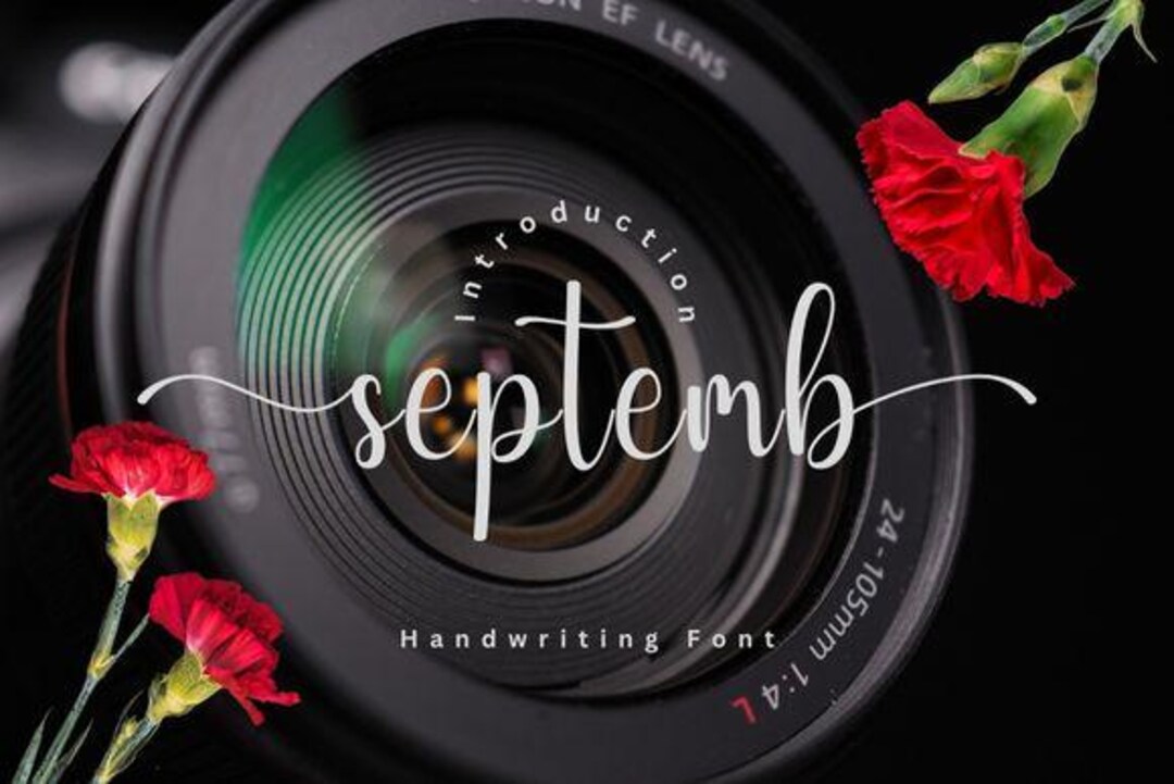 September Font | Elegant Handwritten Script | Modern Calligraphy Font ...