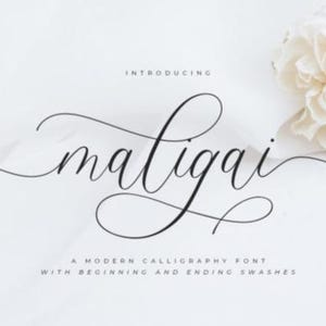Può includere: Presentazione di Maligai, un font di calligrafia moderno con svolazzi iniziali e finali.
