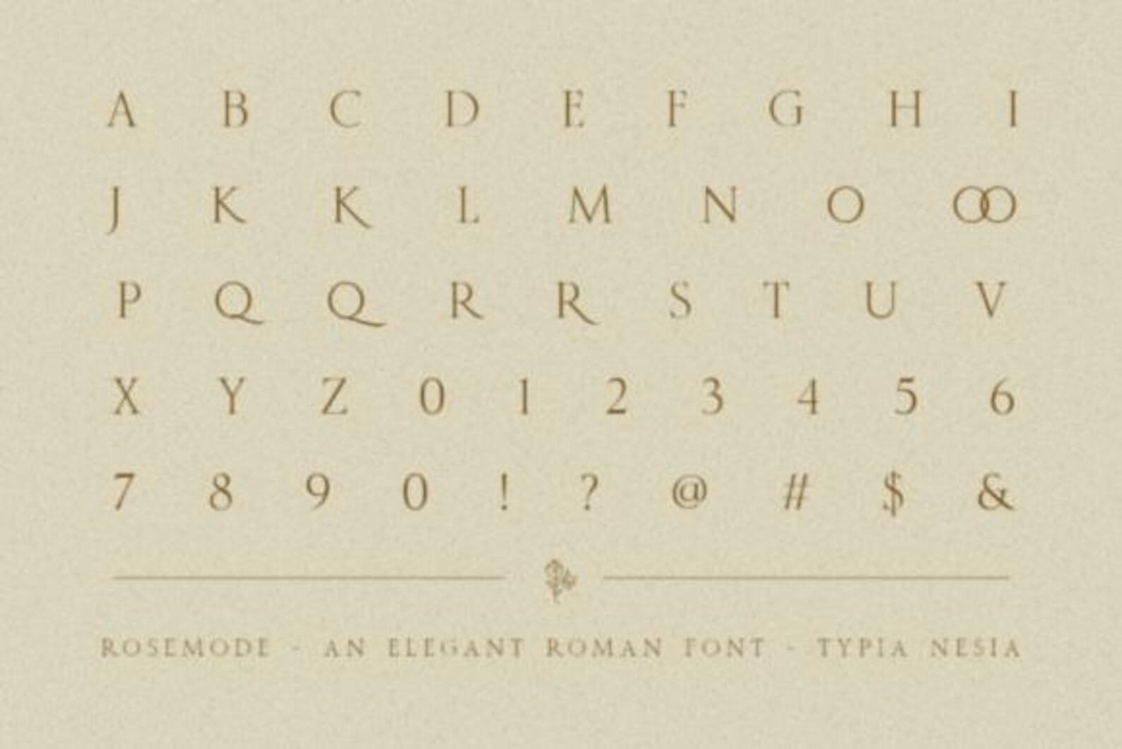Roman Editorial and Aesthetic Script Font | Modern Font Pair | Modern ...