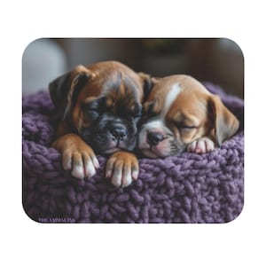 May include: Two sleeping boxer puppies nestled together in a purple knitted basket. One puppy has a dark brown muzzle, while the other has a white stripe on its head. The Animal Ink is printed on the bottom left.