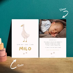 Annuncio di nascita originale e naturale – Personalizzato, busta Kraft e adesivi inclusi – Idea ecologica