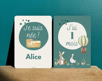 16 Cartes étapes bébé Forêt Jungle | Thème Forêt douceur, croissance bébé