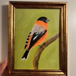 Pintura a óleo de pássaro original, Baltimore Oriole com fundo verde, sem moldura ou com moldura dourada da Lifewingsart, presente de arte de parede