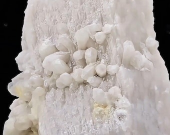 Inner Mongolian Dragon Point White from China